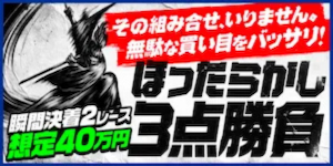 ほったらかし3点勝負 プラン画像